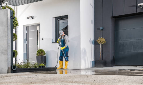Best Driveway Pressure Washing  in Matheny, CA